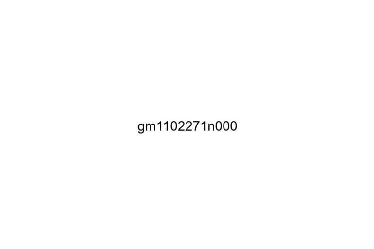 gm1102271n000