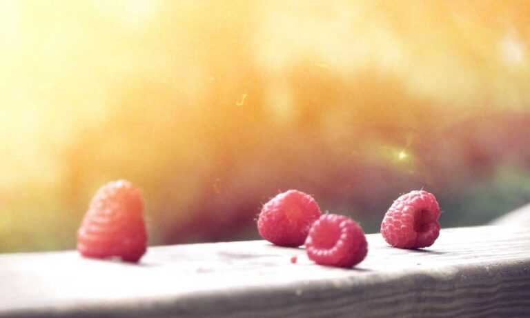 new gardening product xhasrloranit