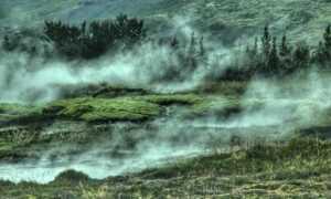 caroline werner model