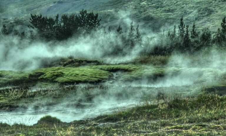 caroline werner model