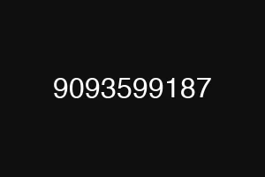 9093599187