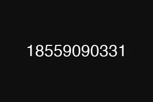 18559090331