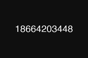 18664203448