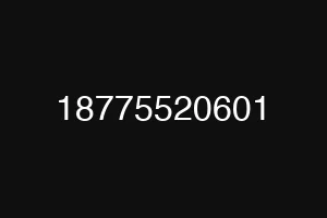 18775520601