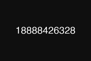 18888426328