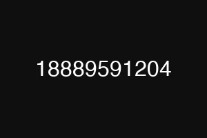 18889591204