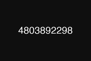 4803892298