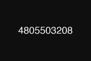4805503208