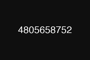 4805658752