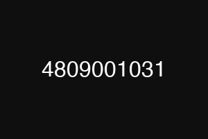 4809001031