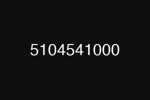 5104541000