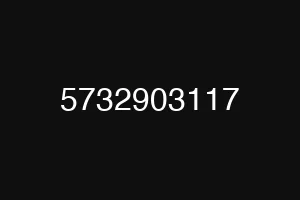 5732903117