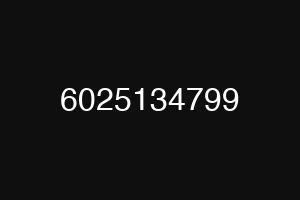 6025134799