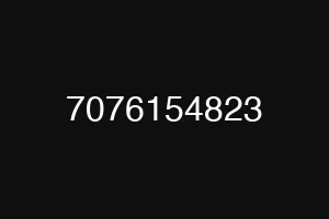 7076154823