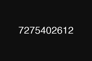 7275402612
