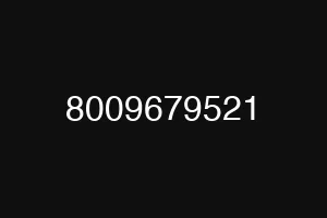 8009679521