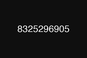 8325296905
