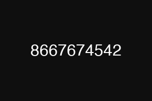 8667674542