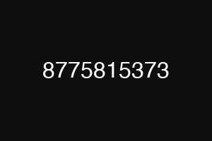 8775815373