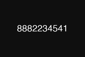 8882234541