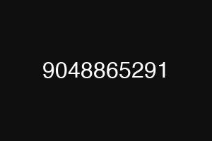 9048865291