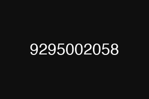 9295002058