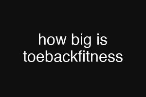 how big is toebackfitness